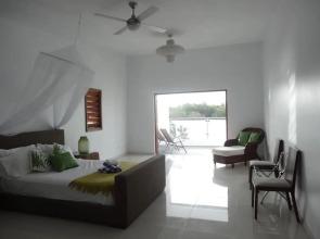 Paradise Point Views