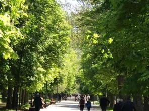 Apartamentos turísticos Pidal 3