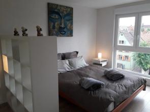 Apartment 4 With 2 Bedrooms in Colmar, With Wonderful City View, Balco