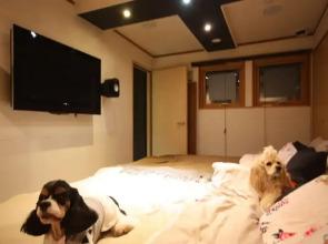 Sapporo Hiraoka Dog Hotel