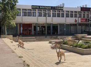 Boutique Hotel by Tzukim