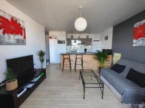 Bel appartement de 42 m2 , 1 chambre , climatisé.