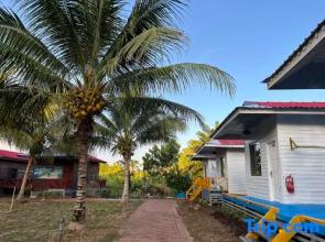 Coconut Garden Resort