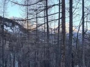 T2 à 5 min à pieds des pistes, Puy St Vincent 1700