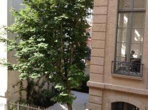 Appartement Cherche-Midi