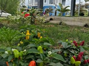 Rumah Tepi Sungai @KB