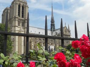 Saint Germain des Prés Private Apartment