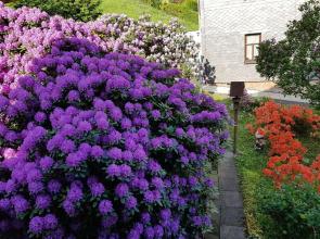 Ferienwohnung Baacke