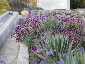 Arusha Villa Karamu Coffee Estate