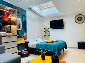 Jungle Studio - 2P à 4P -Henriville