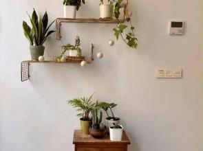 Beautiful house in Cartagena's historic center