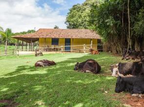 Hotel Fazenda Igarapés