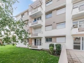 Blue Cocoon - FT Factory