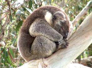 The Open House B&B Accommodation