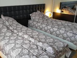 Apartment Plamen Delux