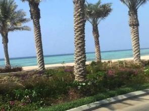 روز أبراج الشاطئ Beach Rose Sea View