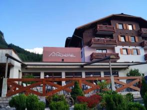 Apartment Hallstatt Dachstein Inn