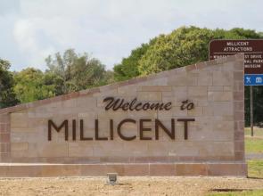 Sandpipers at Millicent