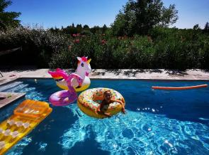 Magnifique gîte en pierres 6 personnes avec piscine privée Ardèche plein sud