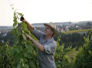 Wörners Schloss Weingut & Wellness Hotel