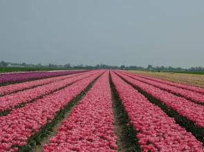 Bed & Breakfast 't Langhûus