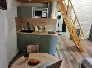 Uluchshennaya v tsentre Sankt-Peterburga Chudo V Peryyakh Flat