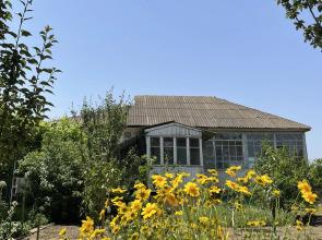 V Tsvetuschem Sadu Private House